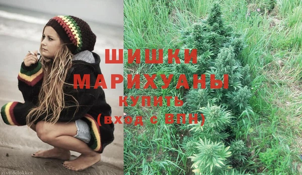 индика Аркадак