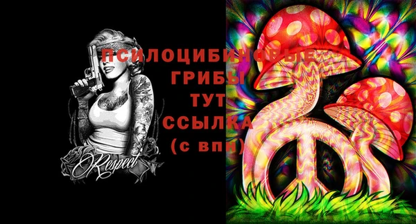 первитин Армянск
