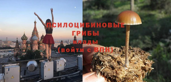 индика Аркадак