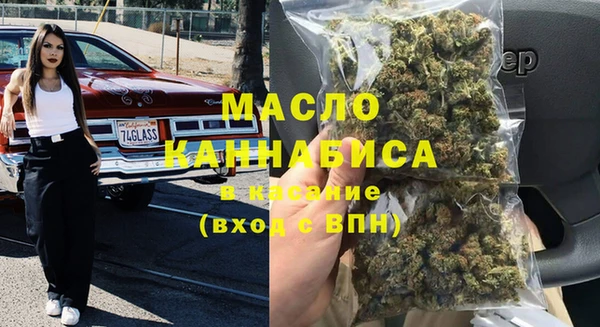 индика Аркадак
