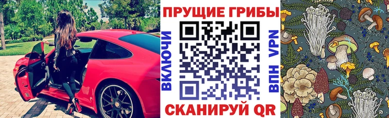 это клад  Приозерск  Галлюциногенные грибы мицелий 